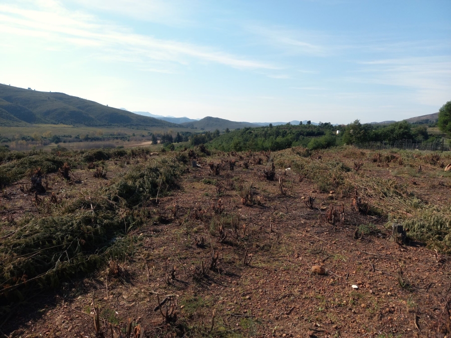 0 Bedroom Property for Sale in Haarlem Western Cape